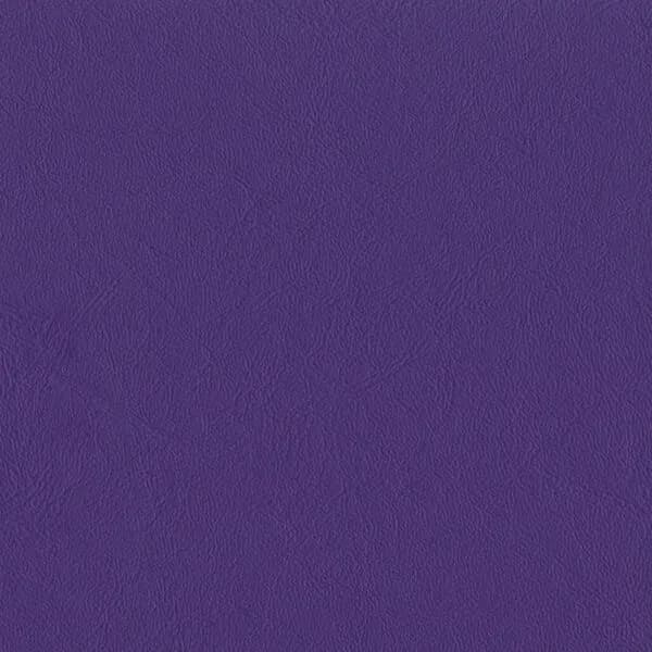 Blackcurrant