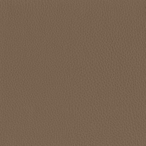 Ambla Exmoor Nutcombe